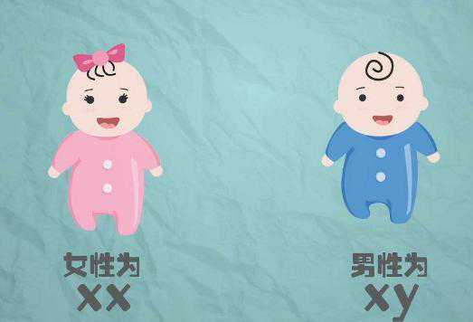 北京哪些三甲医院可以做供卵试管婴儿的